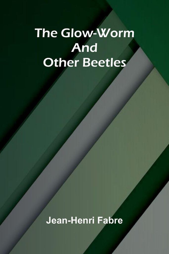 The Glow-Worm and Other Beetles