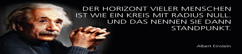vianmo Blechschild 10x46 cm Einstein Zitat Der Horizont vieler Menschen ist wie
