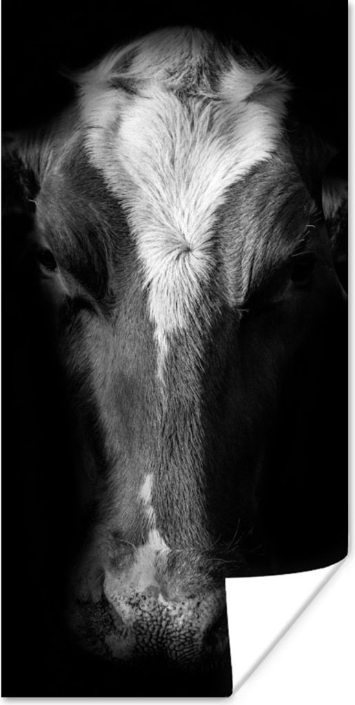 MuchoWow Poster Kuh - Tiere - Schwarz 20x40 cm - Plakat - Foto
