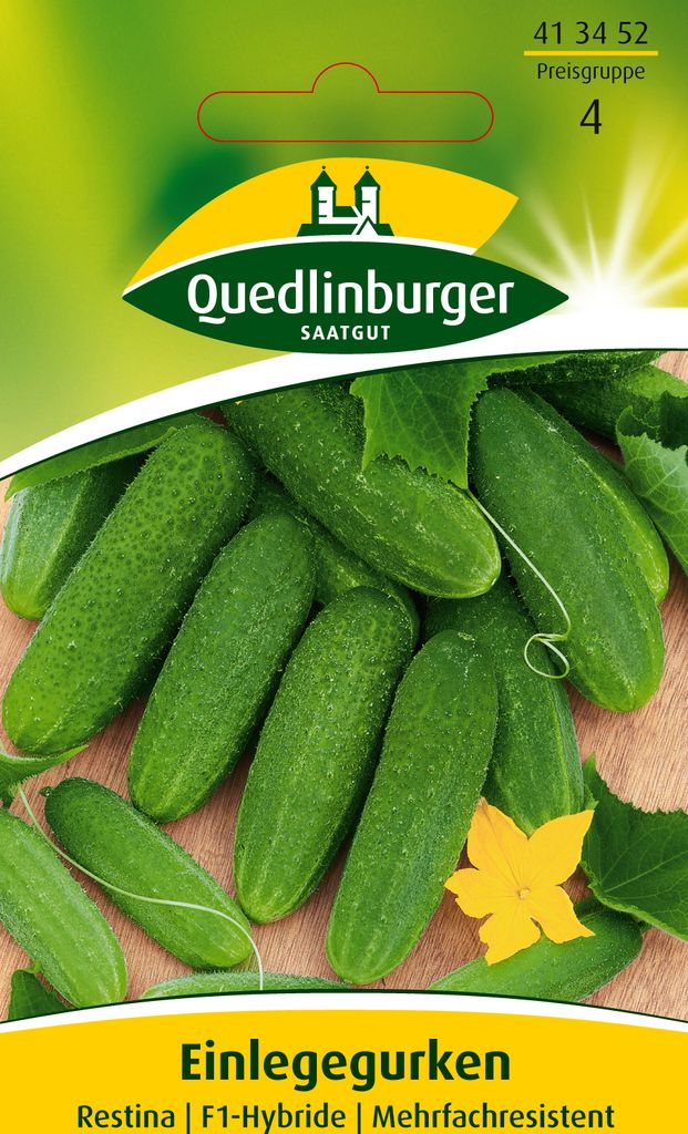 Quedlinburger Saatgut - Einlegegurken Restina - Samen - Produktbild 