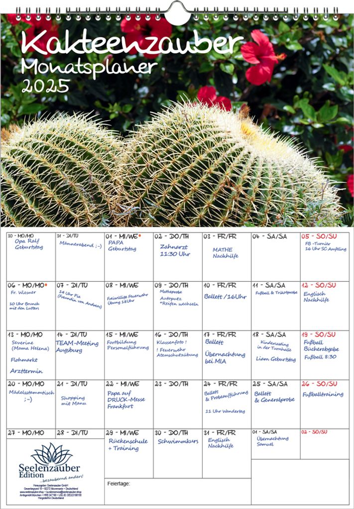 Kakteenzauber Planer DIN A3 Kalender für 2025 Kakteen und Blüten - Seelenzauber