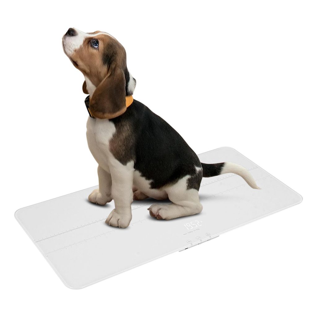 Balance numérique pour animaux de compagnie, balance pour Image du produit 