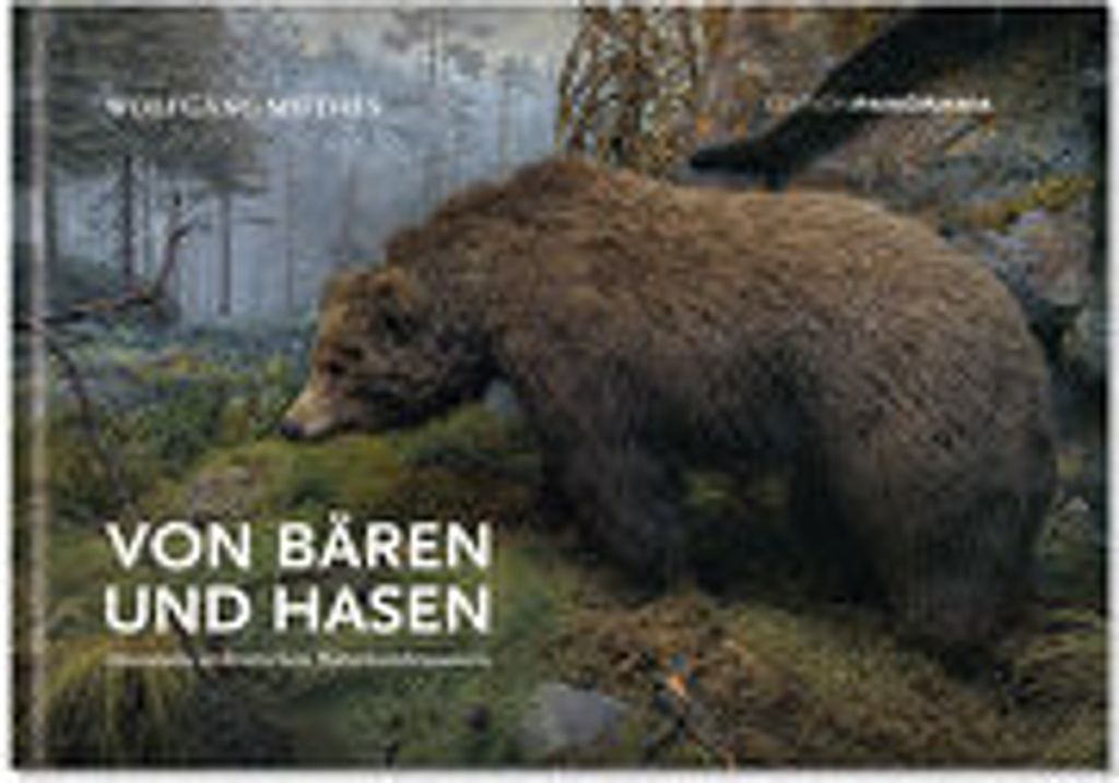 Von Bären und Hasen