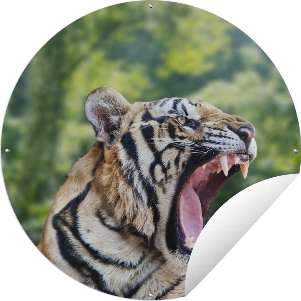 MuchoWow Gartenposter Outdoor-Poster Rund Tiger - Kopf - Wald Ø 90 cm Gartendeko Rundes Poster draußen
