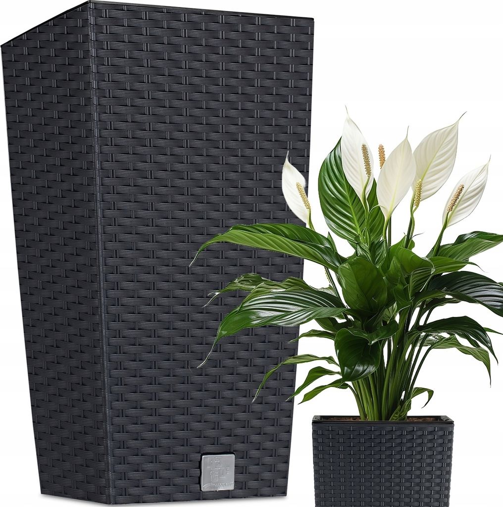 Prosperplast Blumentopf | Rato Square | Anthrazit | 20 cm