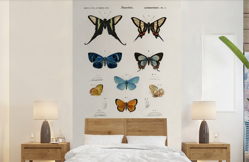 MuchoWow Fototapete für Wohnzimmer oder Schlafzimmer Wandtapete Vinyl Motivtapete Schmetterling - Vintage - Insekten - 150x240 cm - Tapeten