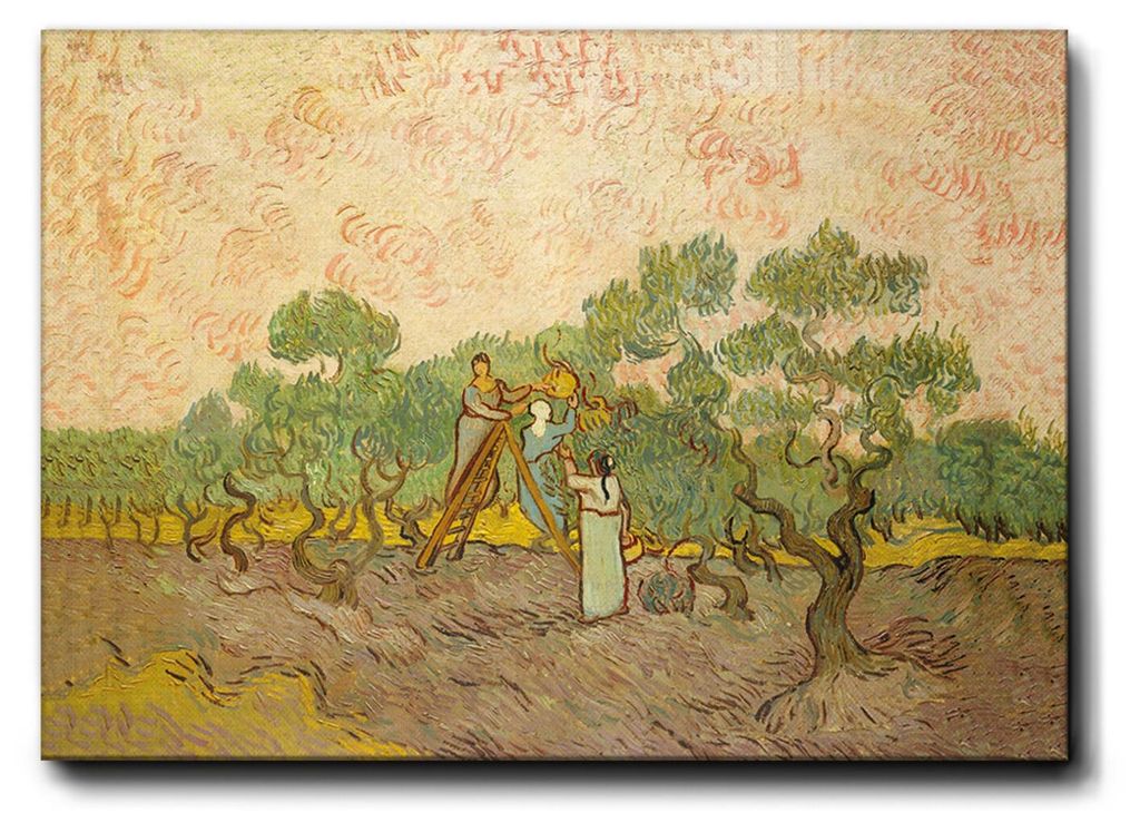 Giallobus - Frauen, die Oliven ernten - Vincent Van Gogh - 70L x 50B cm - Bild - Premium Loom Canvas mit hoher Dicke