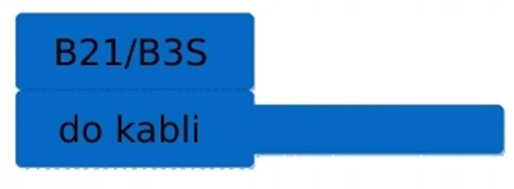 NIIMBOT B21 B3S Etichette Cavi 25x38mm 100pz | Organizzazione Professionale