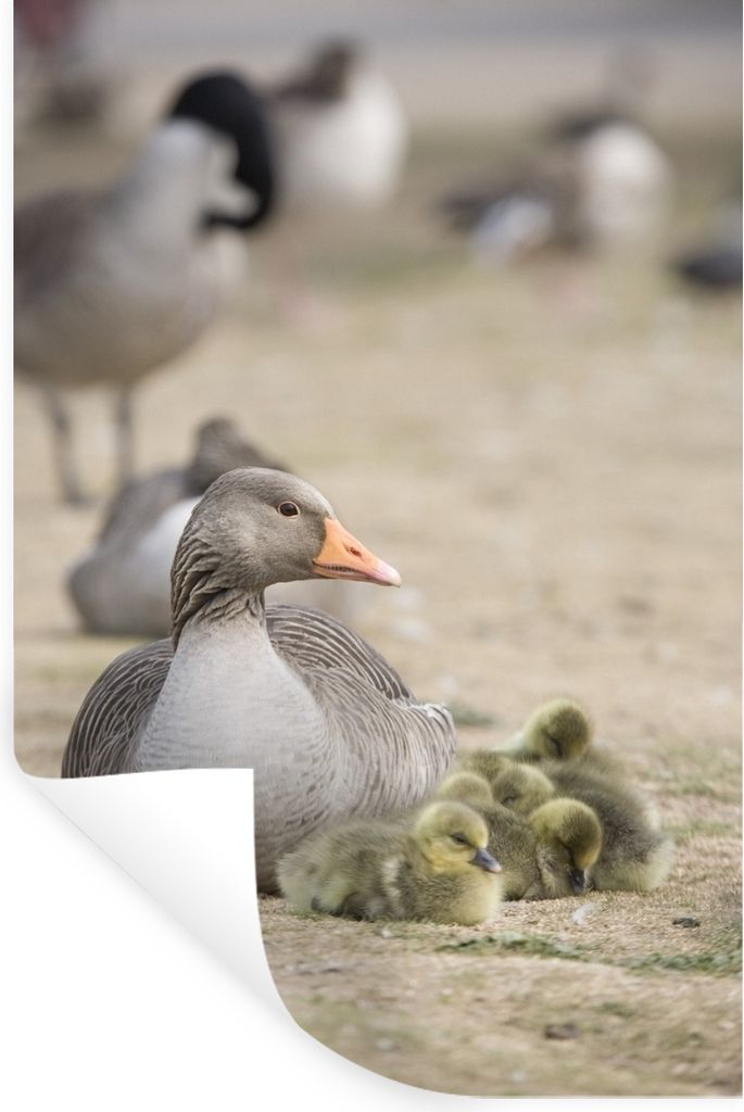 MuchoWow - Sticker - Dekorfolie