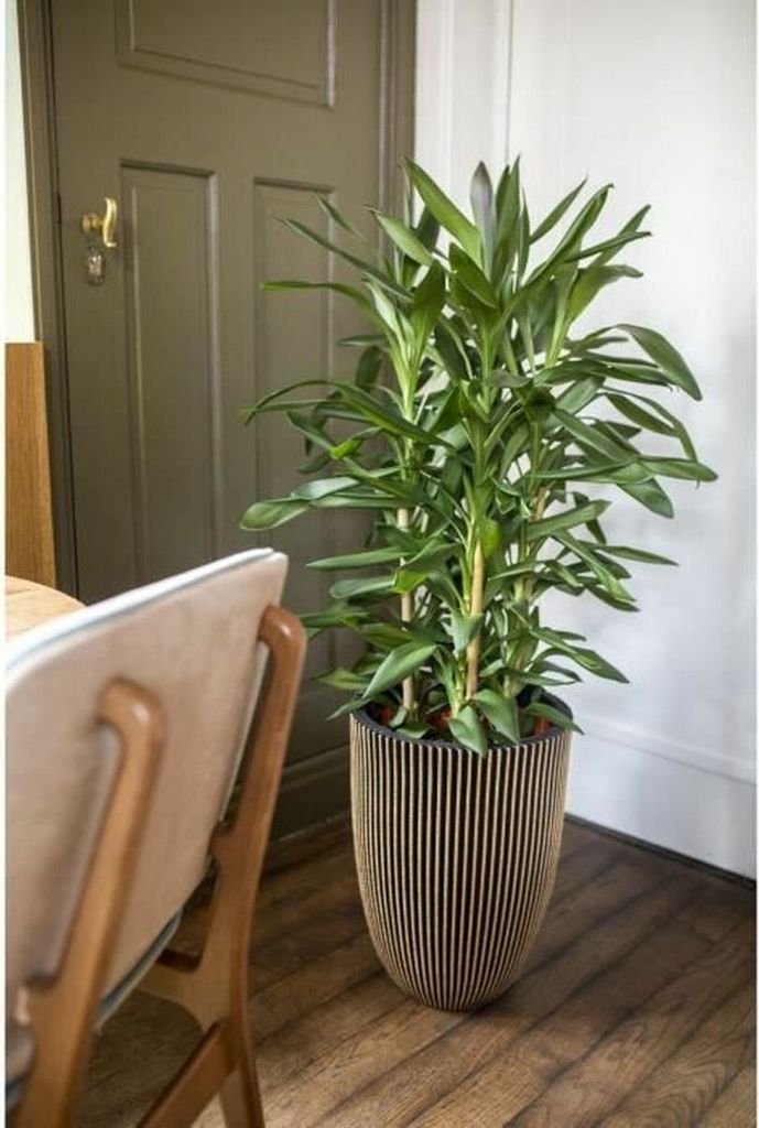 Capi Vase Groove Elegant 46x58 cm Schwarz und Golden Produktbild 7