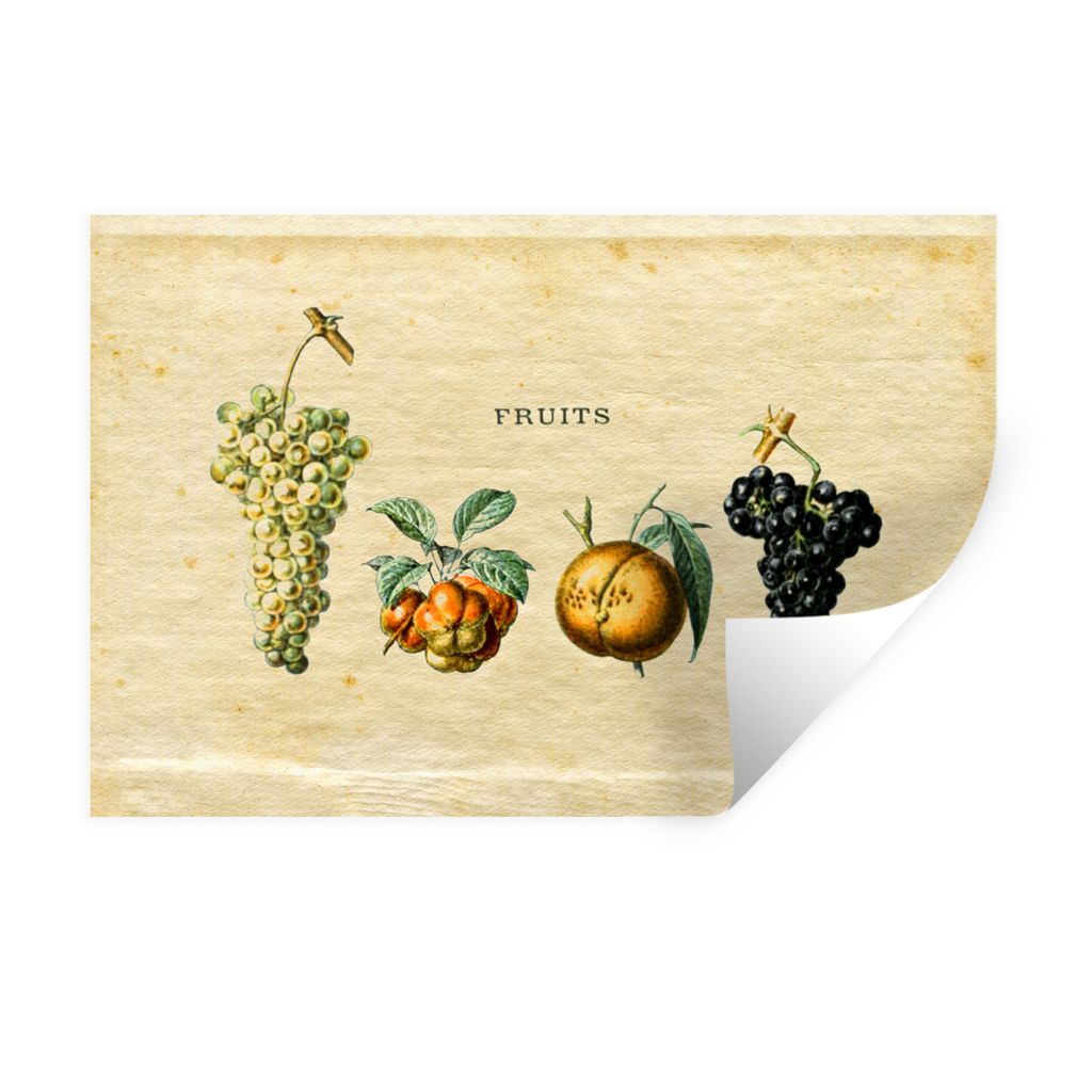 MuchoWow Wandtattoo Wandsticker Wandaufkleber Obst - Weintraube - Weinlese 90x60 cm Selbstklebend und Repositionierbar - Aufkleber