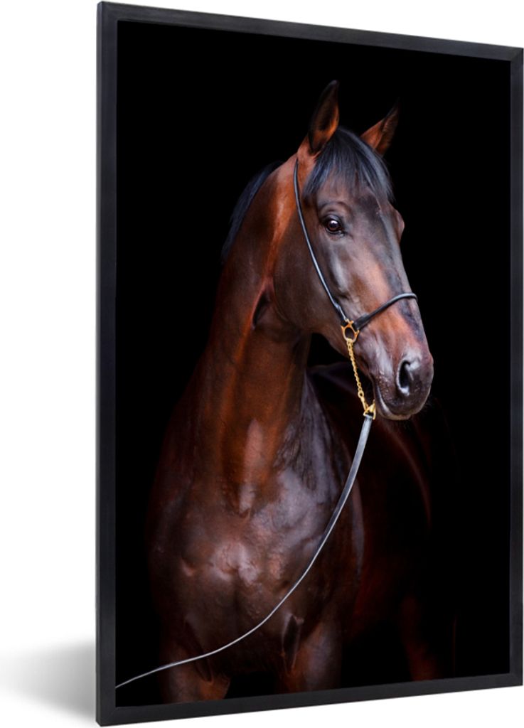 MuchoWow MuchoWow Gerahmtes Poster Pferd - Braun - Schwarz - Porträt 60x90 cm - Poster mit zchwarzem Bilderrahmen - Kunst