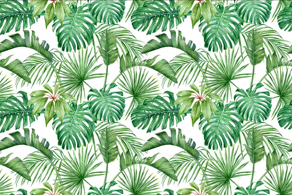 Muralo Fototapete 450 x 300 cm Vlies Tapete Wandtapeten moderne Wandbilder XXL Monstera Palmen Exotisch