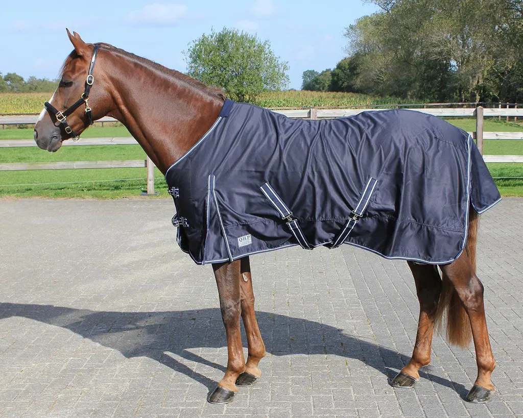 Tappeto QHP Basic: Il Look Estivo Perfetto e Funzionale per il Cavallo