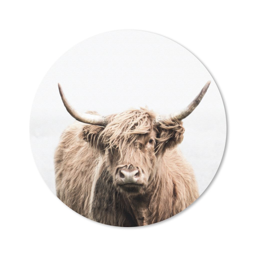 MuchoWow Mauspad Mousepad Porträt Schottischer Highlander - Tiere 50x50 cm - Mousepads - Maus Mat - Pad - Mausunterlage - Vinyl