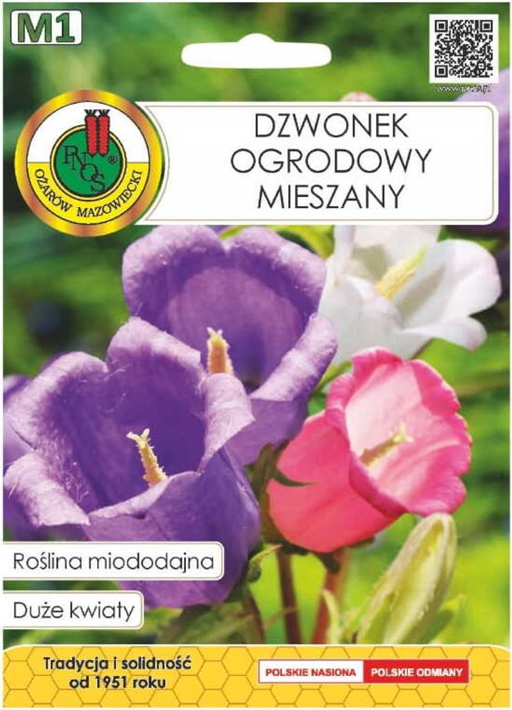 Samen der gemischten Gartenglockenblume 1g Honigtragende zweijährige Pflanze