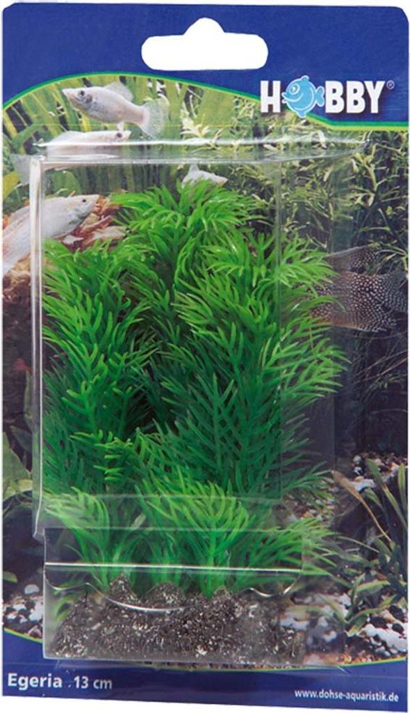 Hobby Egeria, 13 cm - künstliche Aquariumpflanze Produktbild 