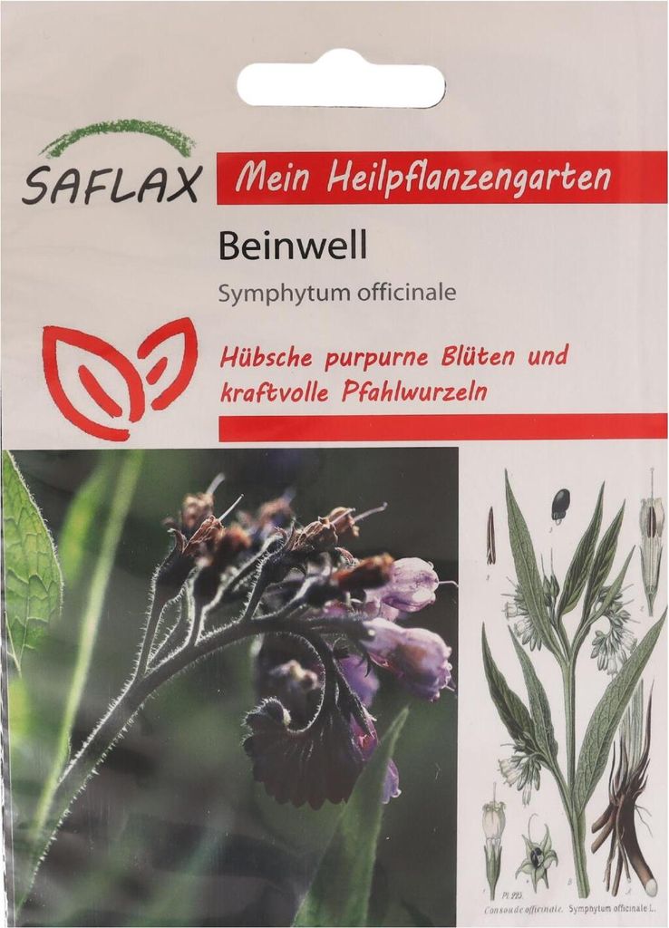SAFLAX - Żywokost - 15 Nasiona - Symphytum officinale Zdjęcie produktu 