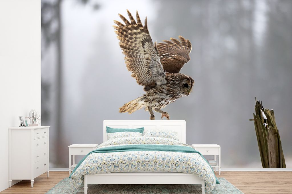 MuchoWow Fototapete für Wohnzimmer oder Schlafzimmer Wandtapete Vinyl Motivtapete Fliegender Waldkauz - 600x400 cm - Vinyltapeten