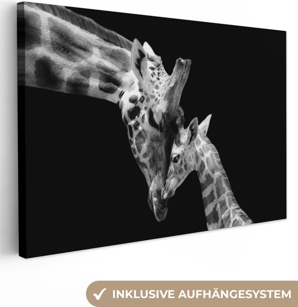 MuchoWow® - Leinwandbilder - Giraffe - Wildtiere - Porträt Produktbild 