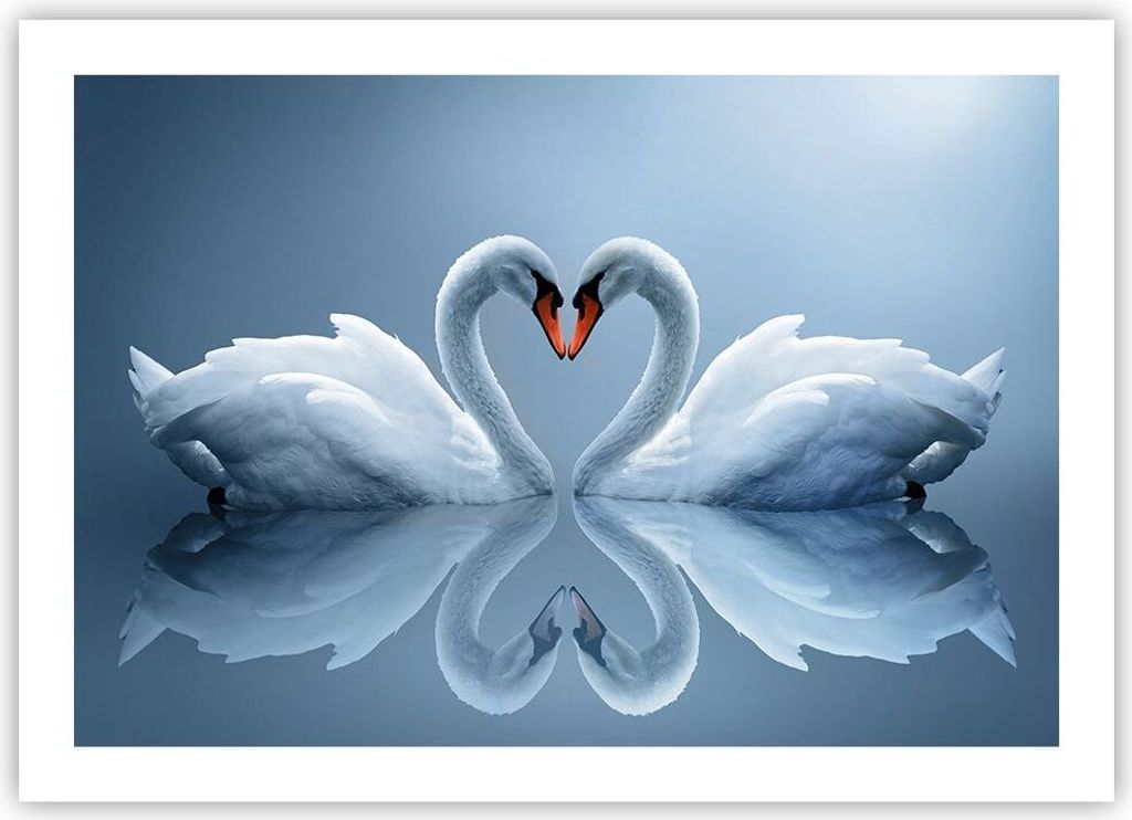 Poster - Poster ohne Rahmen - Ladung Dampf Wasser - 70x50 cm - Wand Bild - Wanddeko - Wandbilder - Kunstposter - Wandposter - Bilder - Kunstdruck -...