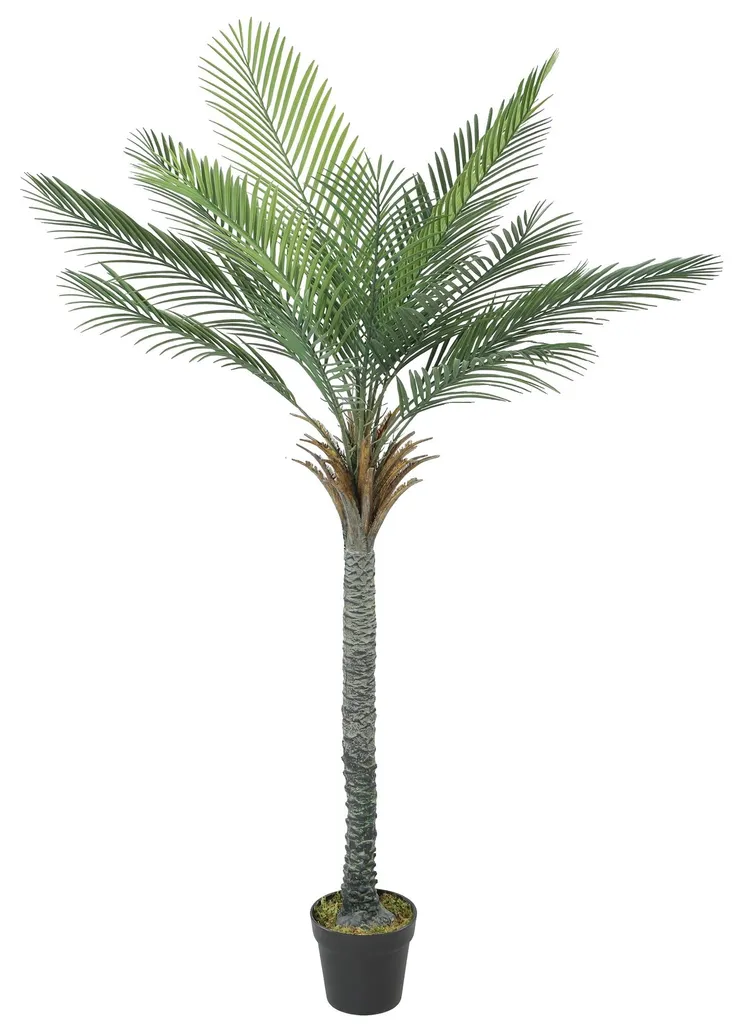 Arbre intérieur vert militaire 180cm design entretien facile durable