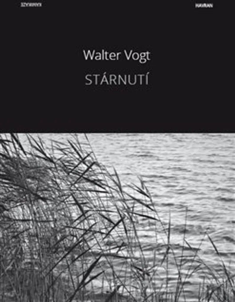 Stárnutí par Walter Vogt livre de littérature suisse contemporaine