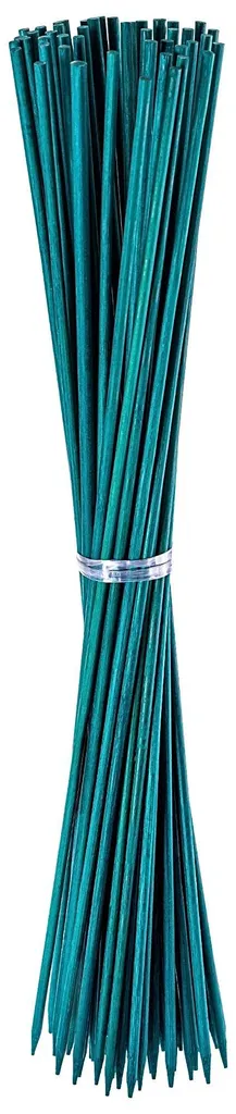 Tuteur plante intérieur et jardin en bambou vert 60cm - 100 bâtons