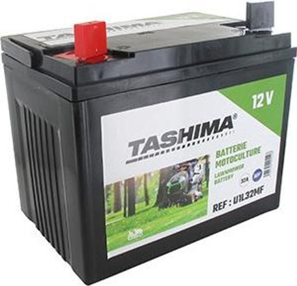 Batterie Pour Tondeuse Autoportée 12v Chargée Sans Image du produit 