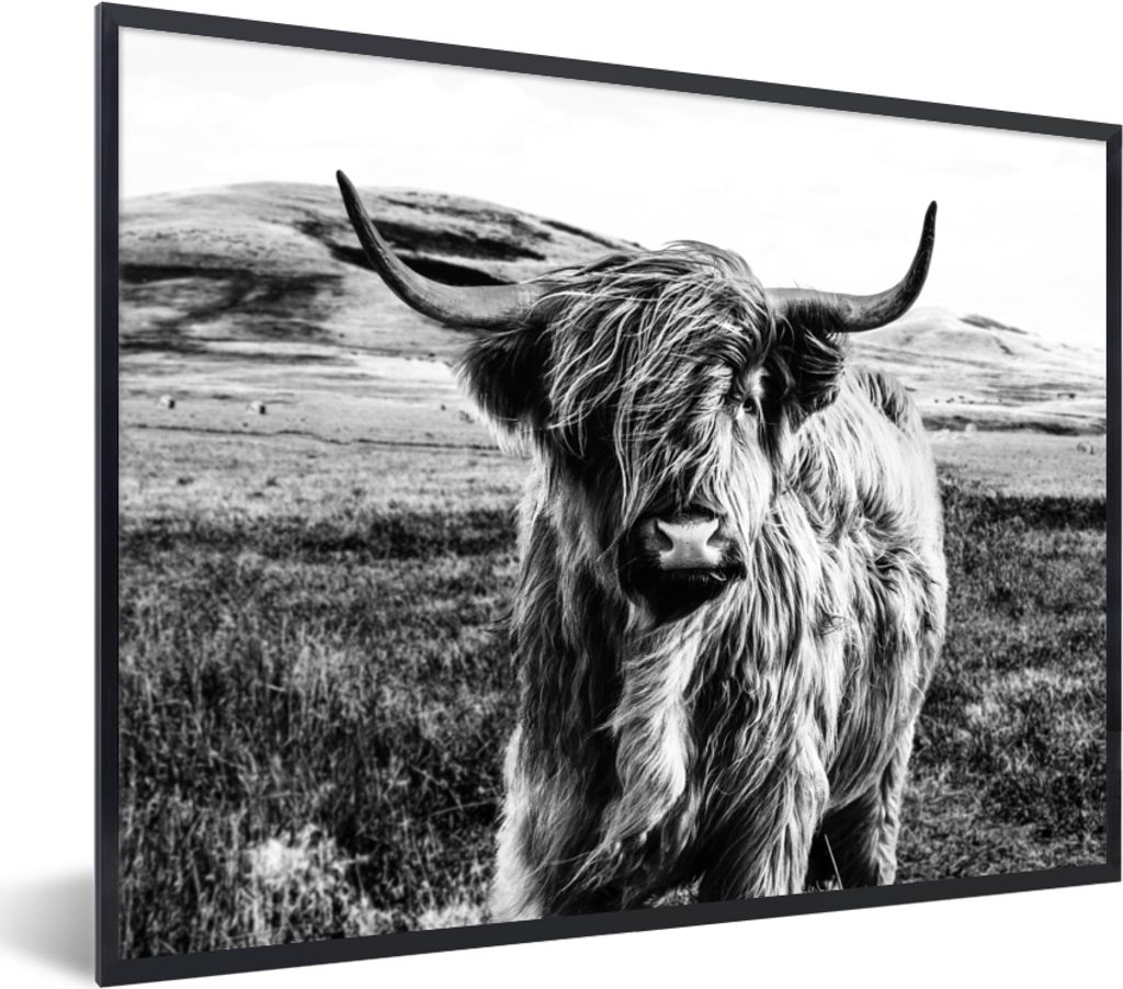 MuchoWow Gerahmtes Poster Schwarz - Weiß - Schottischer Highlander - Gras 80x60 cm - Poster mit Schwarzem Bilderrahmen Wandposter Rahmen Foto Bi...