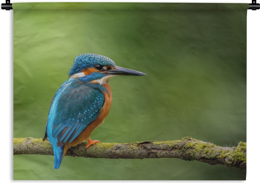 MuchoWow Wandteppich Wandbehang Eisvogel - Zweig - Moos - Vogel - Grün 120x90 cm Tapisserie Dekoration Wandtuch - Wohnen - Aufhänger für die Wand
