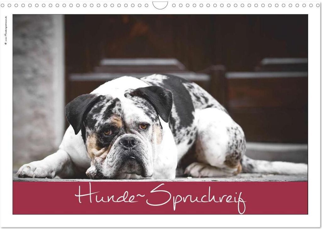 Hunde-Spruchreif (Wandkalender 2026 DIN A3 quer), CALVENDO Monatskalender