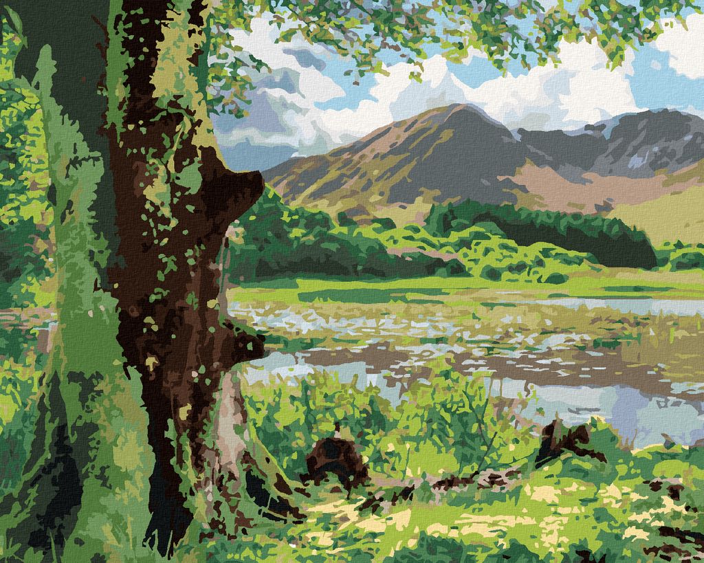 Zuty - Malen nach Zahlen - NATUR UND BERGE, IRLAND (TED DAVIS), 40x50 cm, mit Keilrahmen (bereits gespannt)