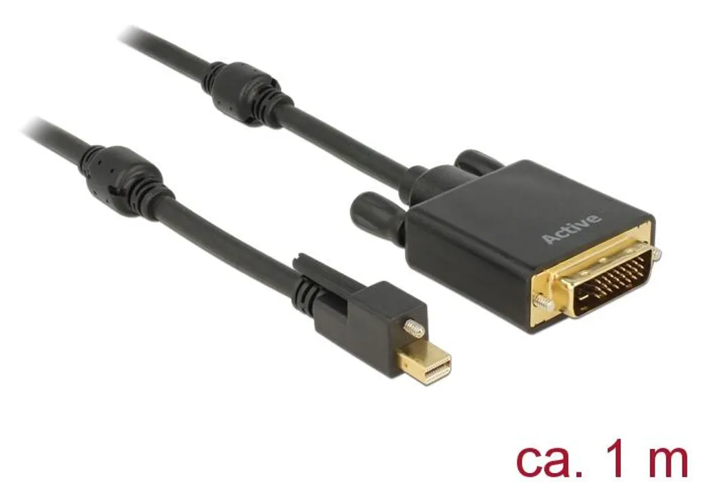 Câble Mini DisplayPort vers DVI-D Delock 1m pour Écran PC Full HD