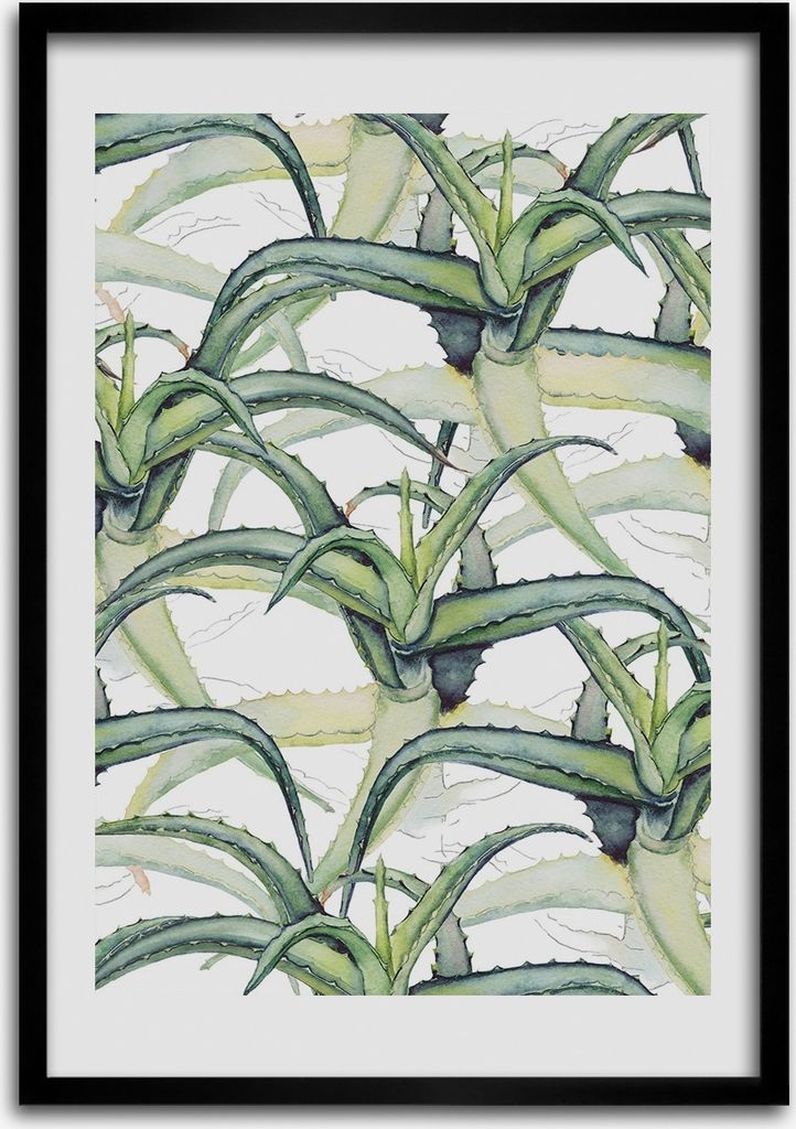 Bild - Bilderrahmen - Foto - 70 cm x 100 cm - MDF - Rahmen - Wandkunst - Aloe