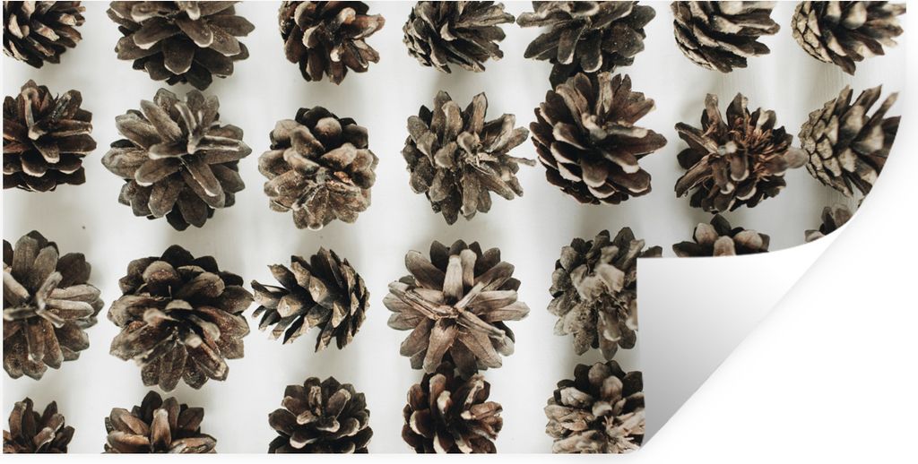 MuchoWow Wandtattoo Wandsticker Wandaufkleber Tannenzapfen - Winter - Weiß 80x40 cm Selbstklebend und Repositionierbar - Aufkleber