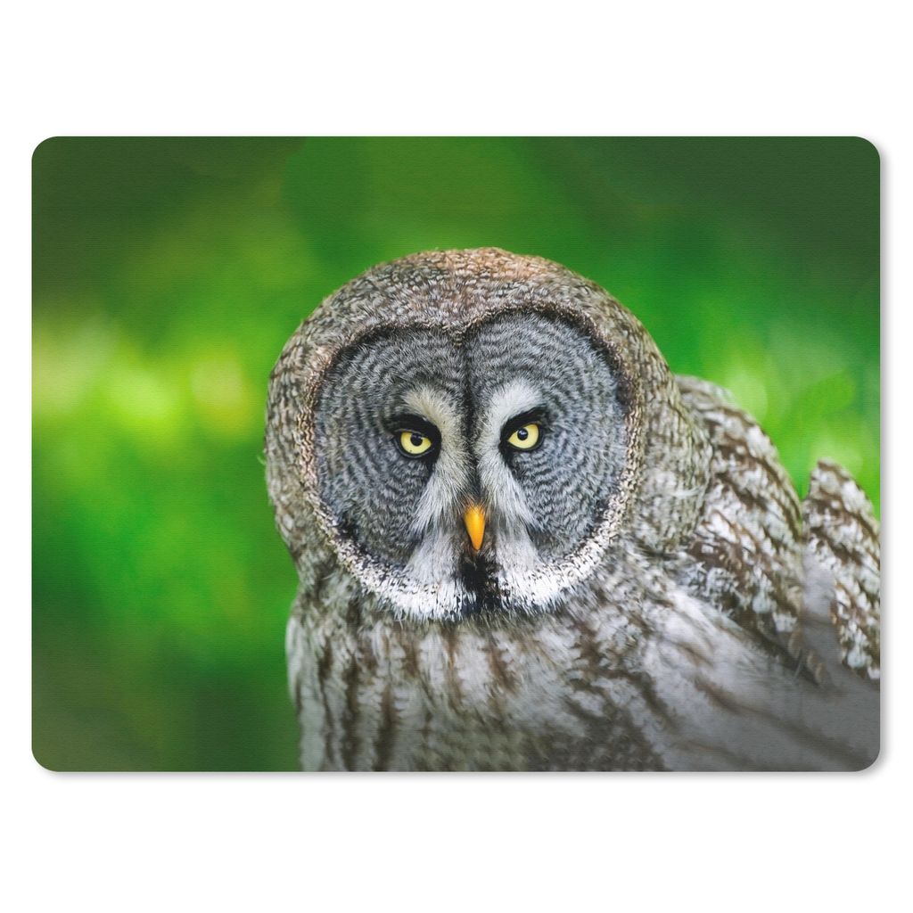 MuchoWow Mauspad Mousepad Vogel - Eule - Tiere - Braun - Porträt 23x19 cm - Mousepads - Maus Mat - Pad - Mausunterlage - Schreibtischunterlage -...