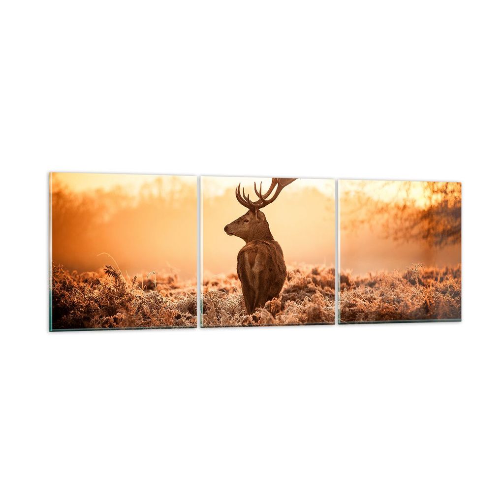 Bilder auf glas - Hirsch Natur Feld - 150x50cm - Glasbilder - Wandbilder - Kunstdruck - zum Aufhängen bereit - Wanddekoration aus Glas - Glas Bild...