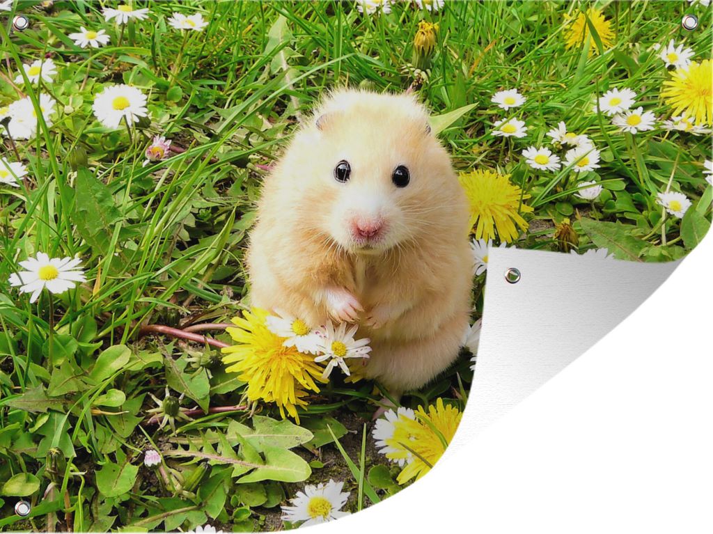 MuchoWow 80x60 cm Outdoor-Poster Gartendeko Sichtschutz Garten Poster für den Garten Hamster zwischen Blumen
