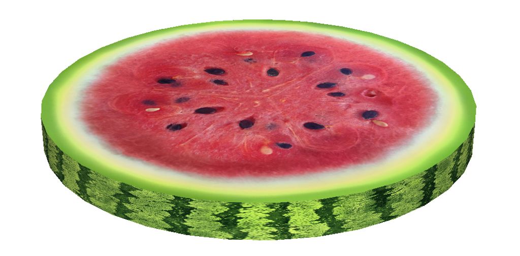 Bertoni RING poduszka na krzesło 4x40cm WATERMELONE Zdjęcie produktu 