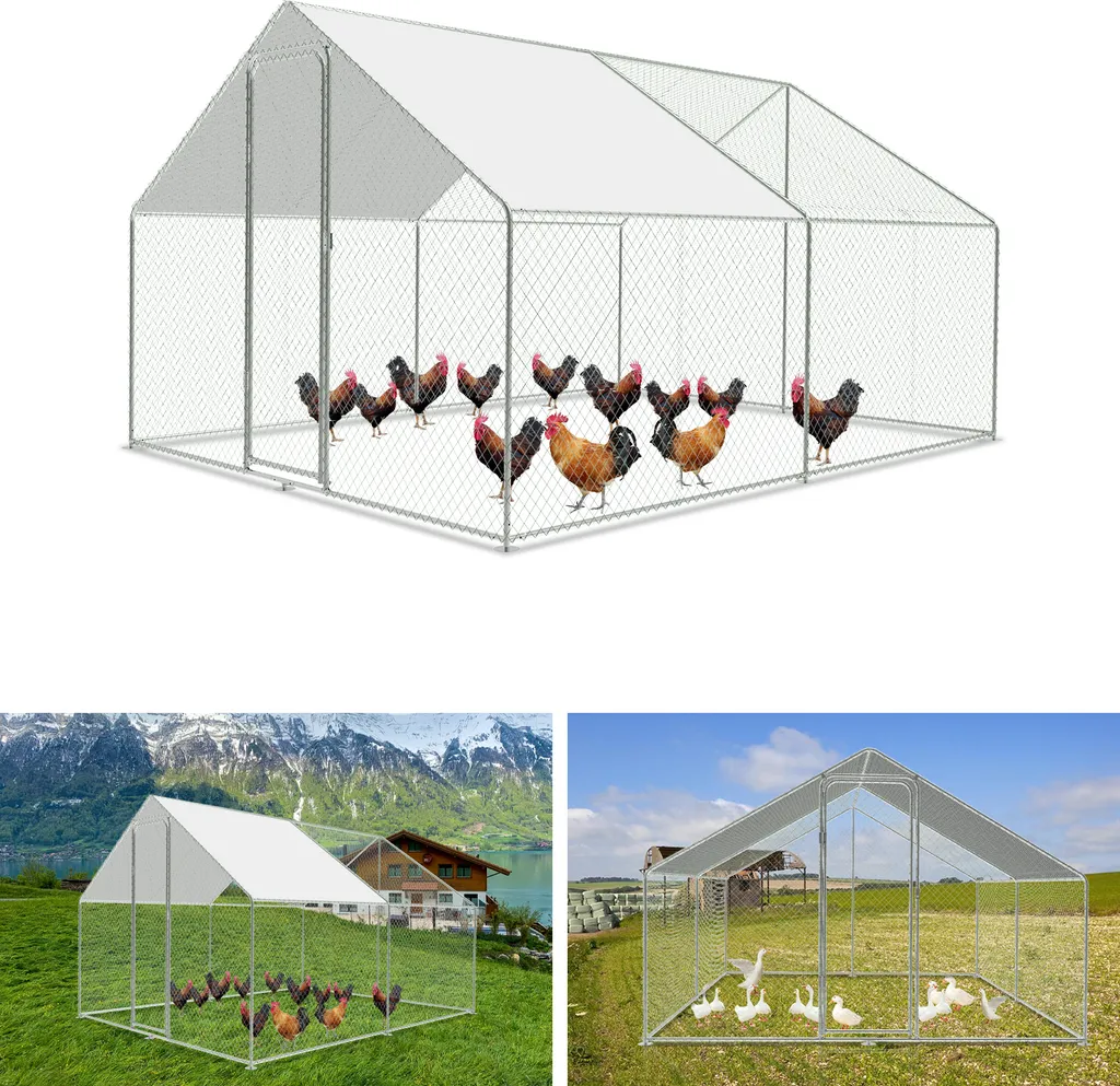 Recinto Galline Ruspanti 3x3x2m: 9mq di Benessere e Uova Fresche