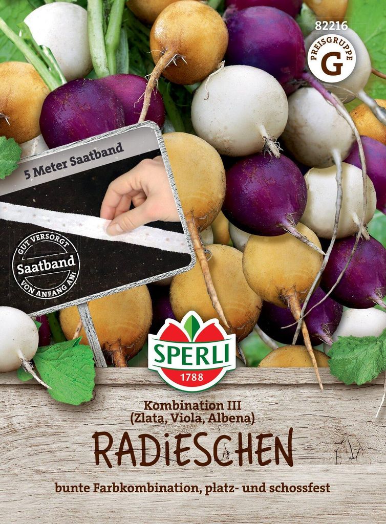 Radies Kombination III Saatband - milde Farbmischung, platz Produktbild 