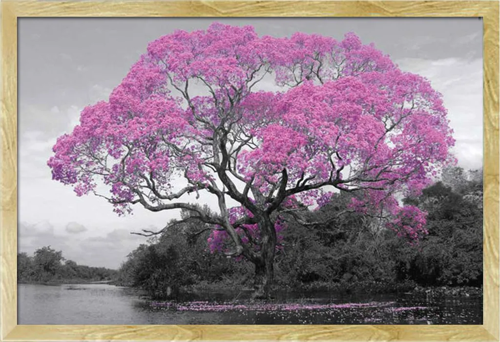 Cornice Intercambiabile Shinsuke Maxi Faggio + Poster Botanico Albero