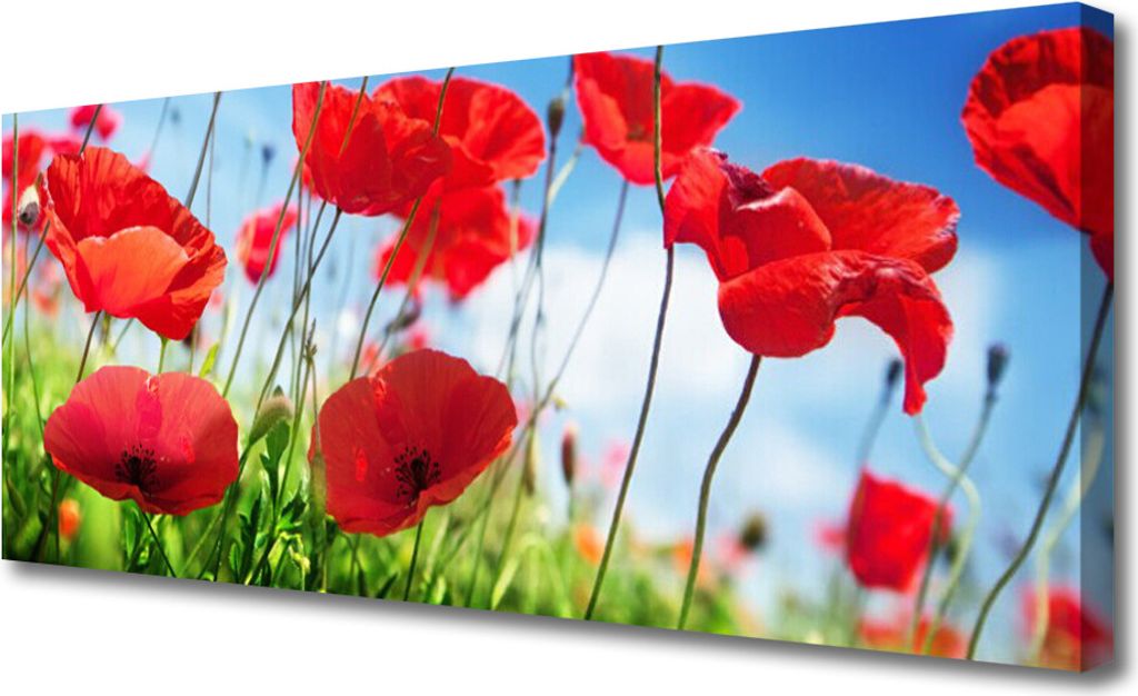 Tulup Leinwand-Bilder 125x50 Wandbild Canvas Kunstdruck Mohnblumen Gras Natur