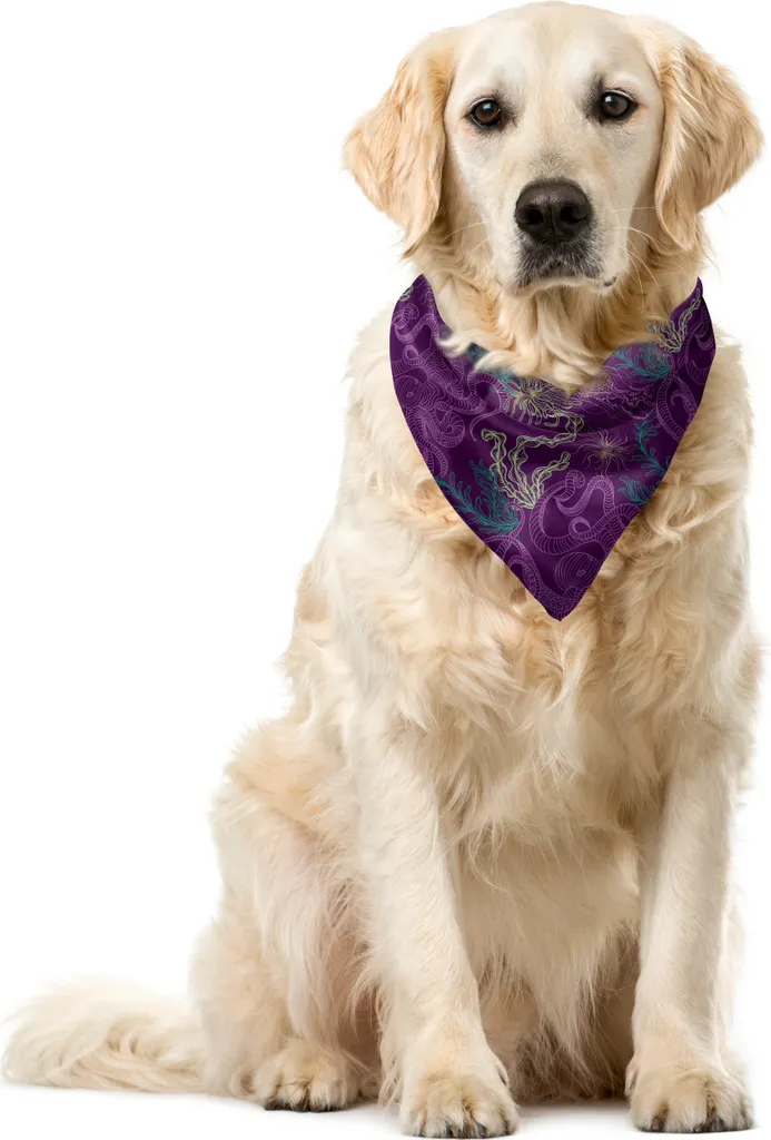 Bandana Avventura Marina ABAKUHAUS Calamaro Viola e Verde