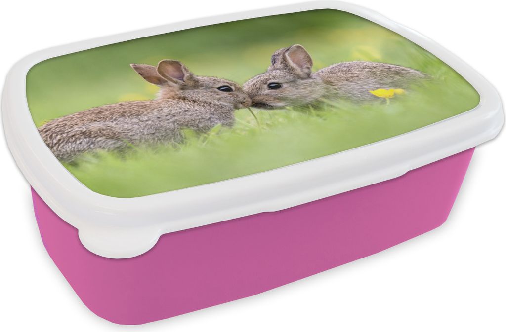 KitchenYeah Lunchbox Brotzeit Brotdose 17x11 cm Zwei Kaninchen mit ihren Schnauzen gegeneinander Kinder Brotzeitdose - Lunchpaket - Brotkasten -...