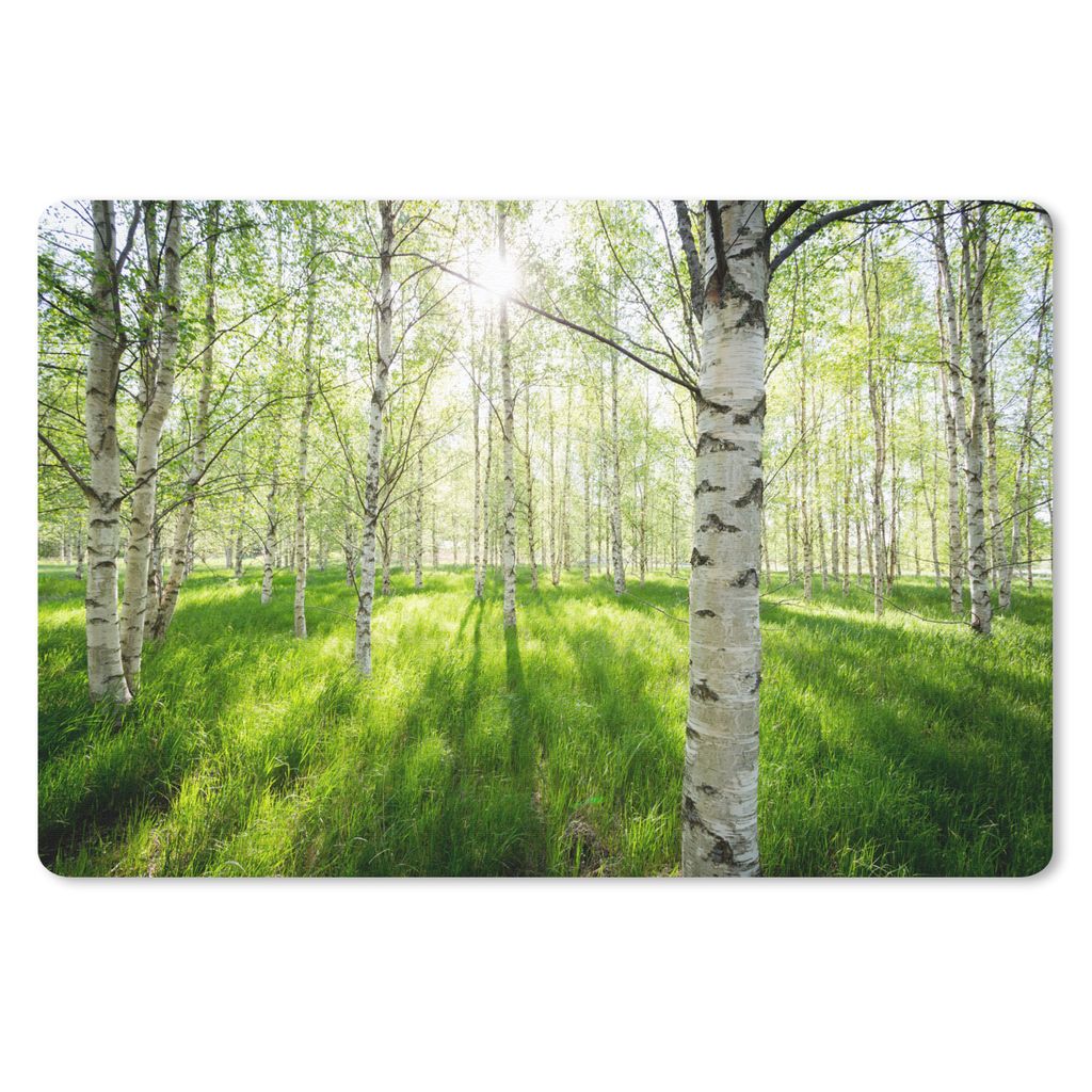 MuchoWow® Mauspad Mousepad Birke - Wald - Frühling 27x18 cm Produktbild 