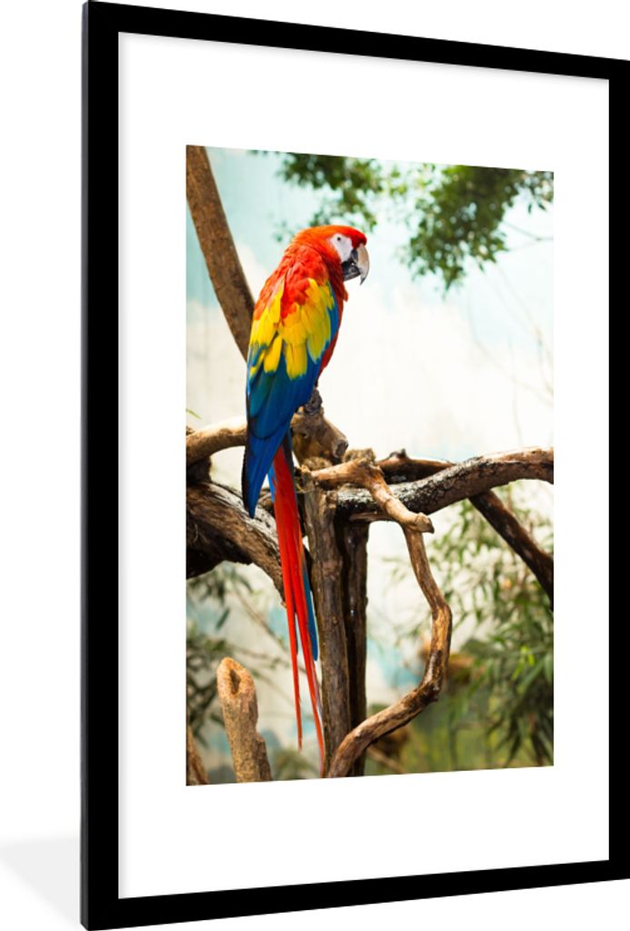 MuchoWow Gerahmtes Poster Papagei - Vogel - Regenbogen - Tropisch 60x90 cm - Poster mit Schwarzem Bilderrahmen Wandposter Rahmen Foto Bilder - De...