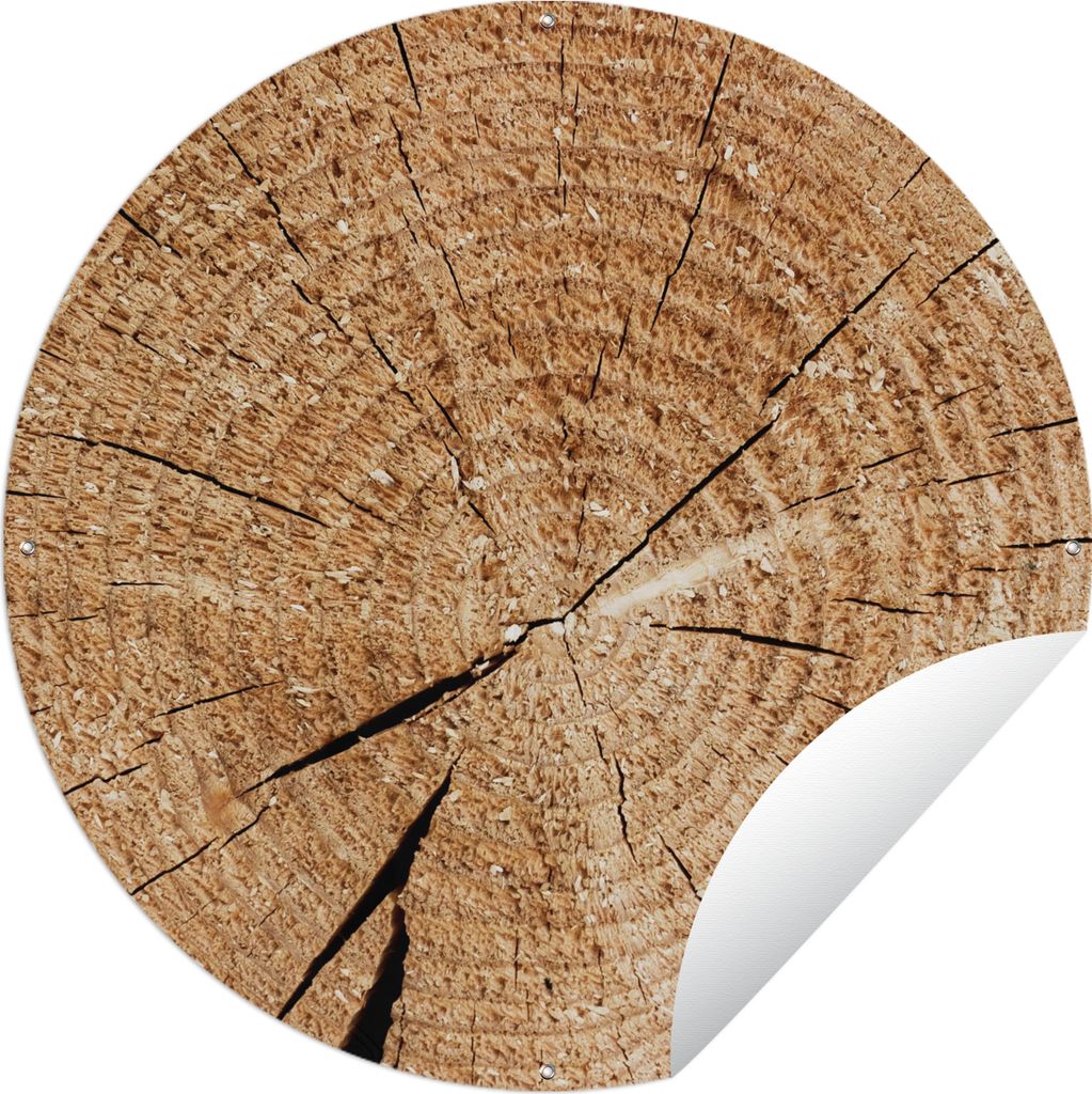 MuchoWow Gartenposter Outdoor-Poster Rund Baumstamm - Baumringe - Holz Ø 150 cm Gartendeko Rundes Poster draußen