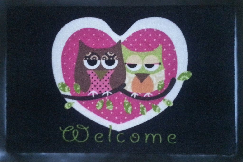 Fußmatte Fußabtreter Schmutzmatte Motiv Design Eule OWL Produktbild 